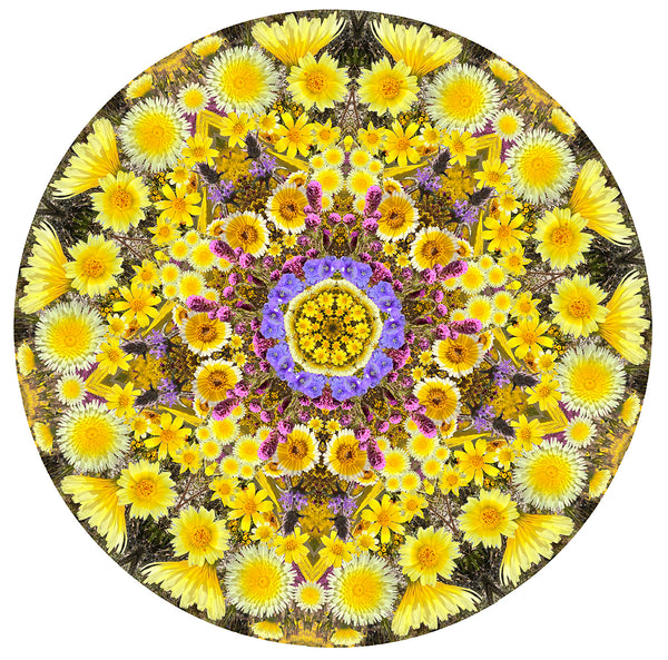 Flower Consciousness : A Manifesto and How To Guide