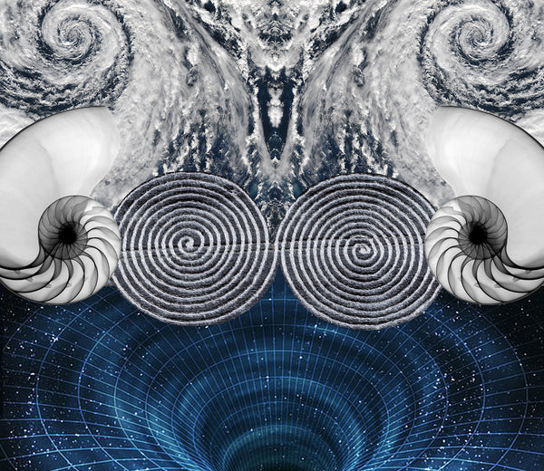 Up or Down : Everything Spirals